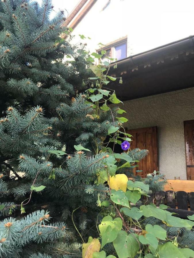 Green Villa Costinesti Eksteriør bilde