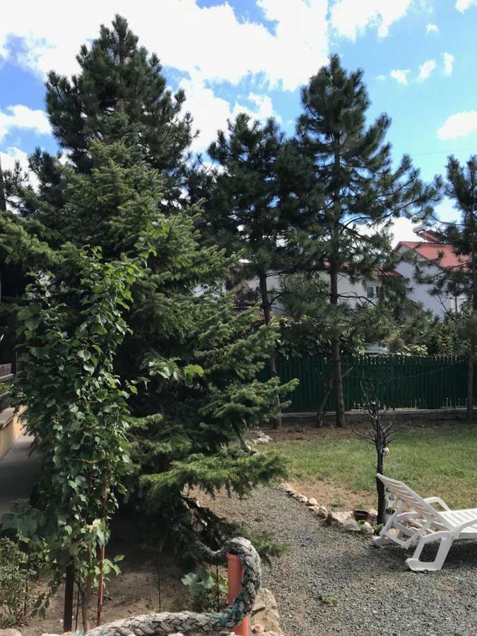 Green Villa Costinesti Eksteriør bilde